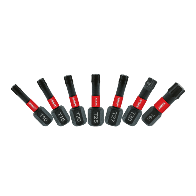 1 in. Torx Drive Bit Assorted Pack (7-Piece)